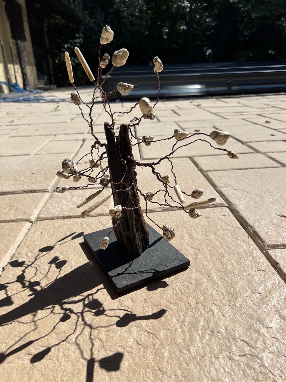 L'Arbre aux Pierres Blanches