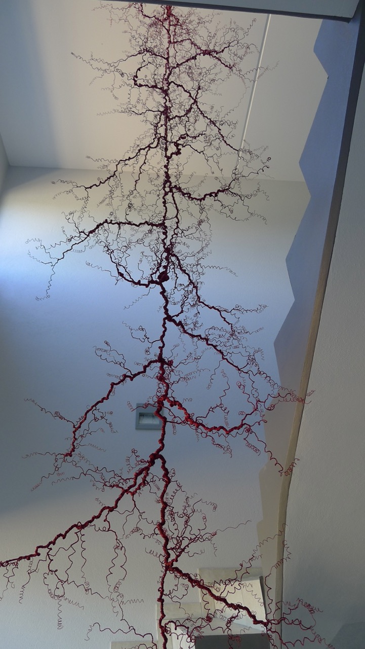 Racine Rouge suspendue