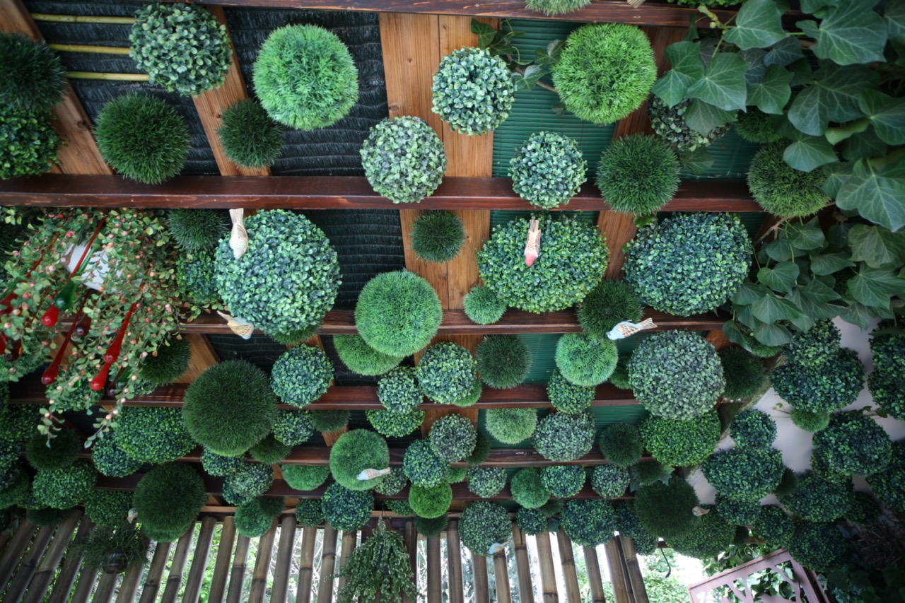 Le jardin suspendu