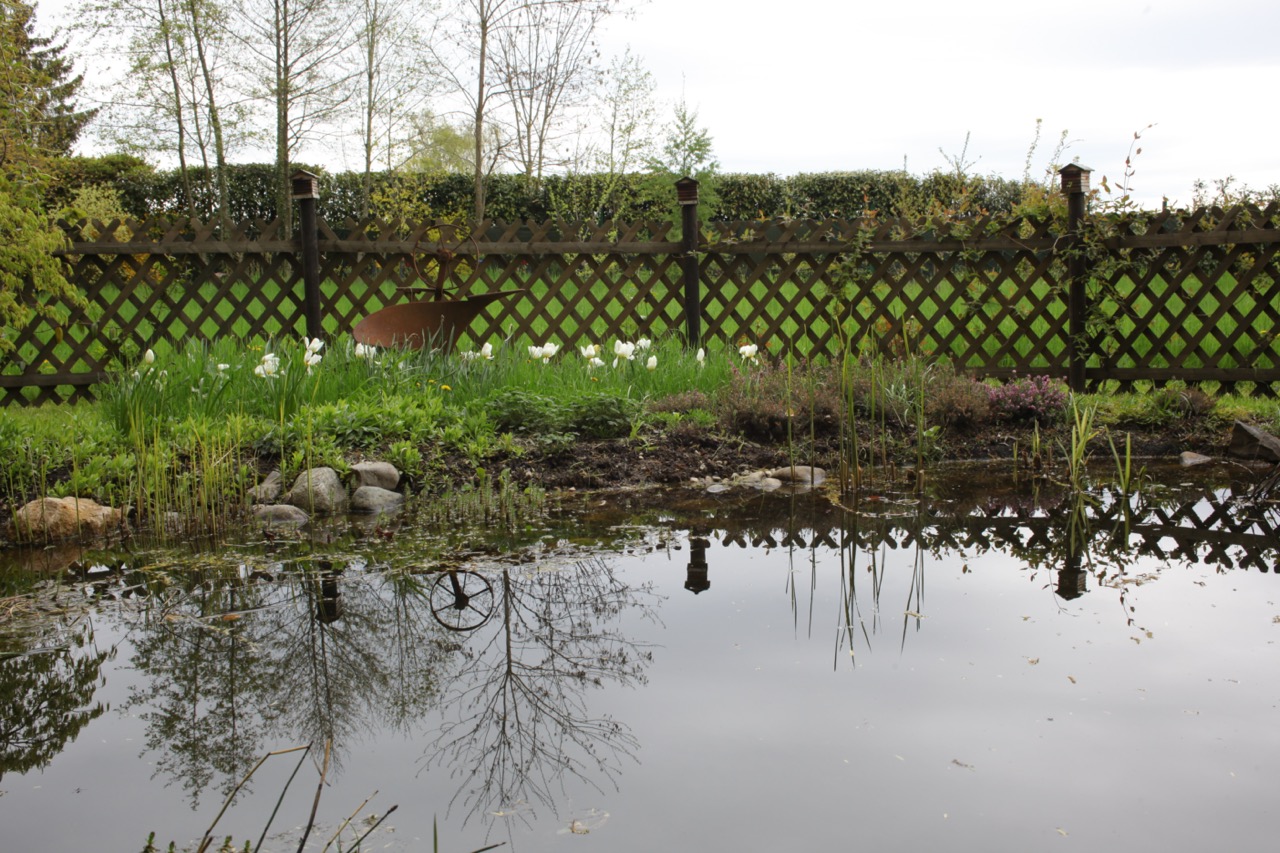 La mare du jardin