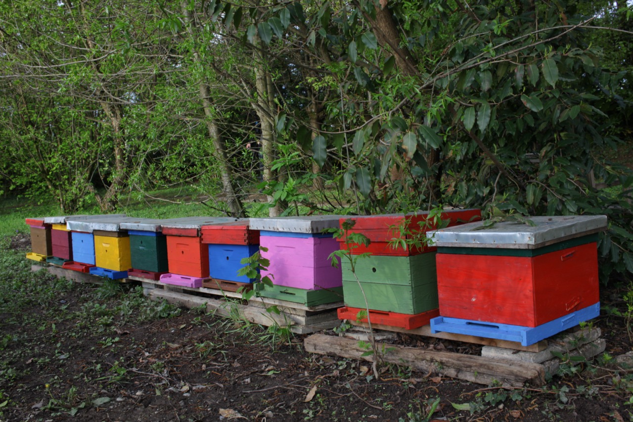 Les Maisons des Abeilles