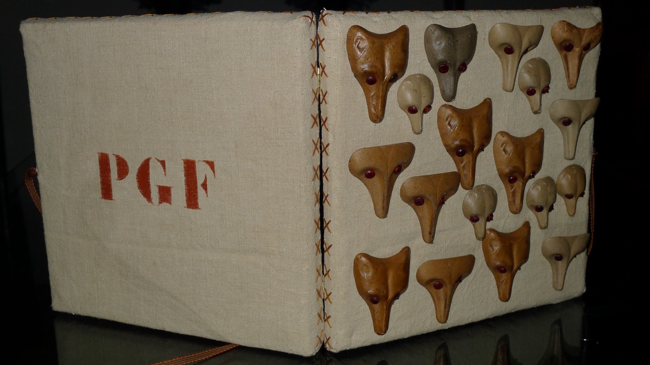 Boîte aux Masques‑Renards