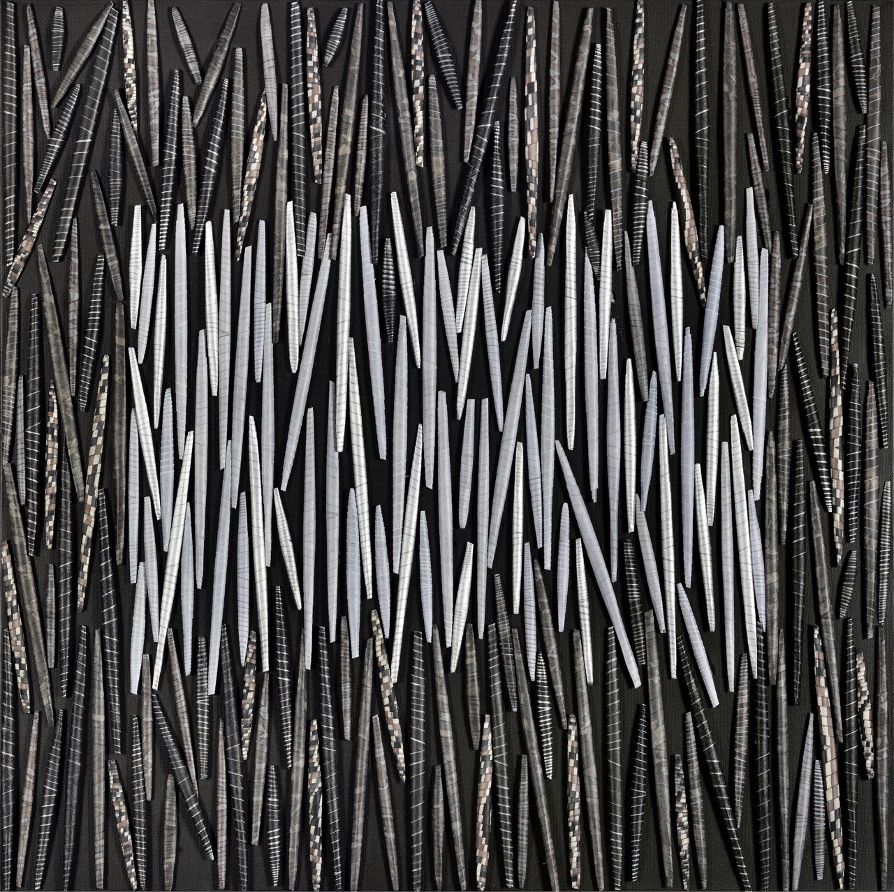 Bambous en clair-obscur