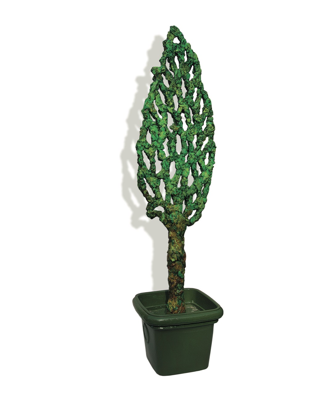 Arbre des Pierres de La Forclaz