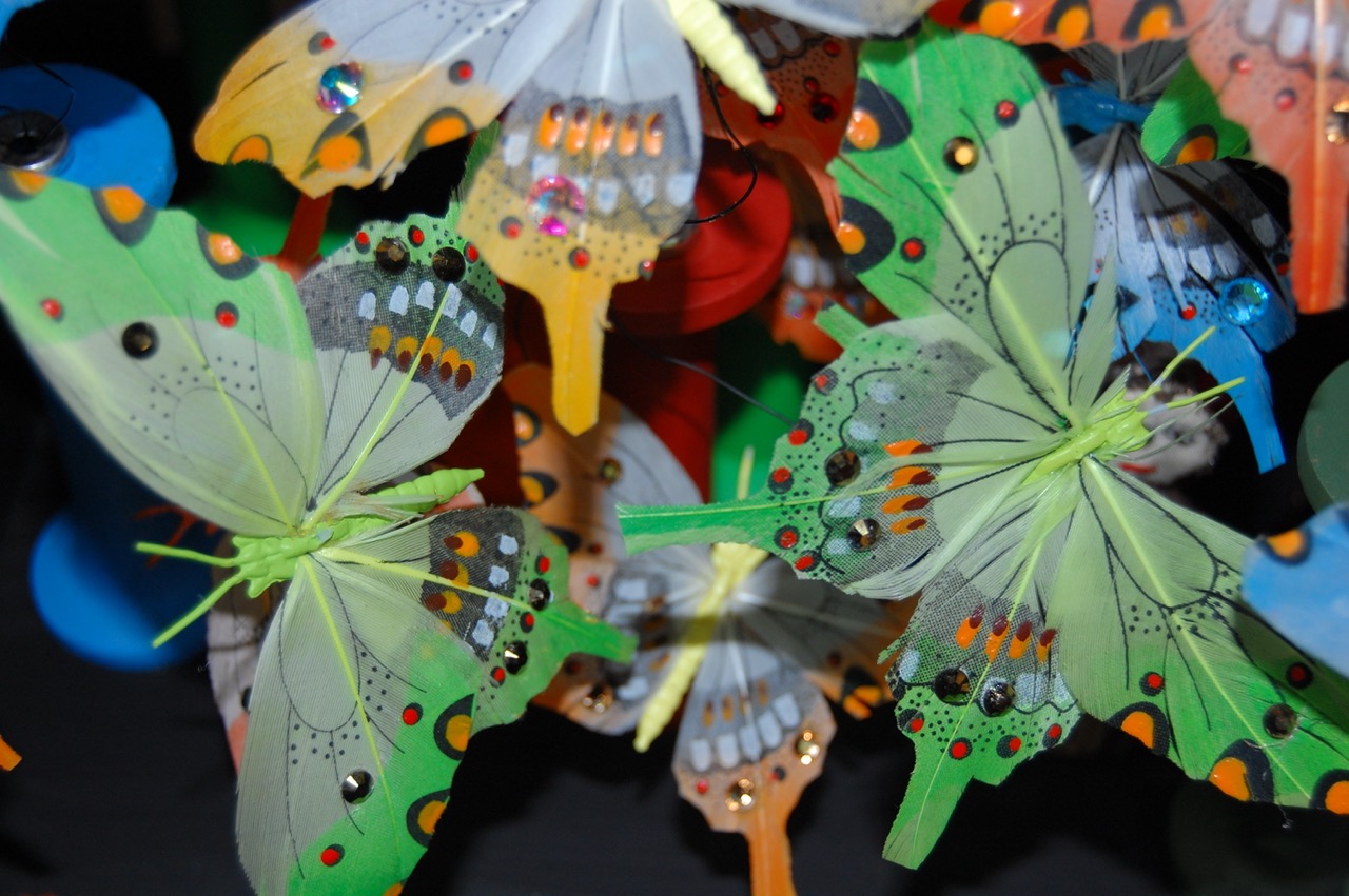 Nuée de Papillons